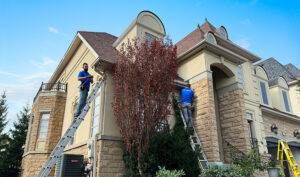 CCTV security systems for residential & commercial - Smart Vision Plus